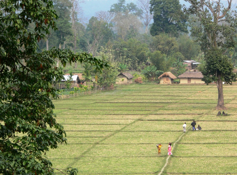 Conflict Resolution for The Future of Biodiversity Conservation